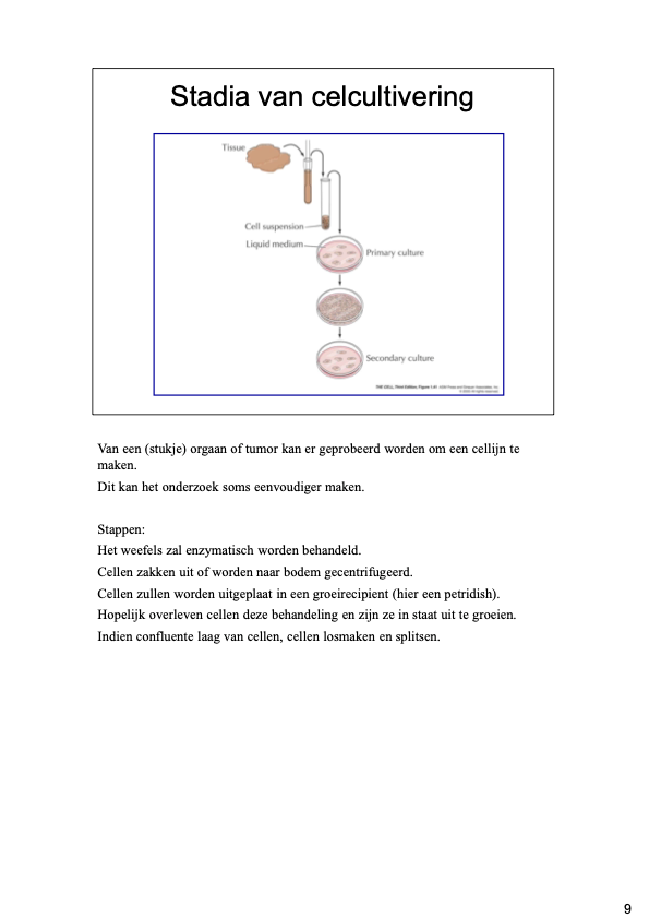 1e Bachelor: Cel II (celbiologie)