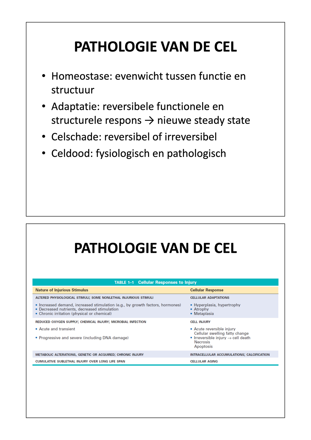 3e Bachelor: Mechanismen van ziekte