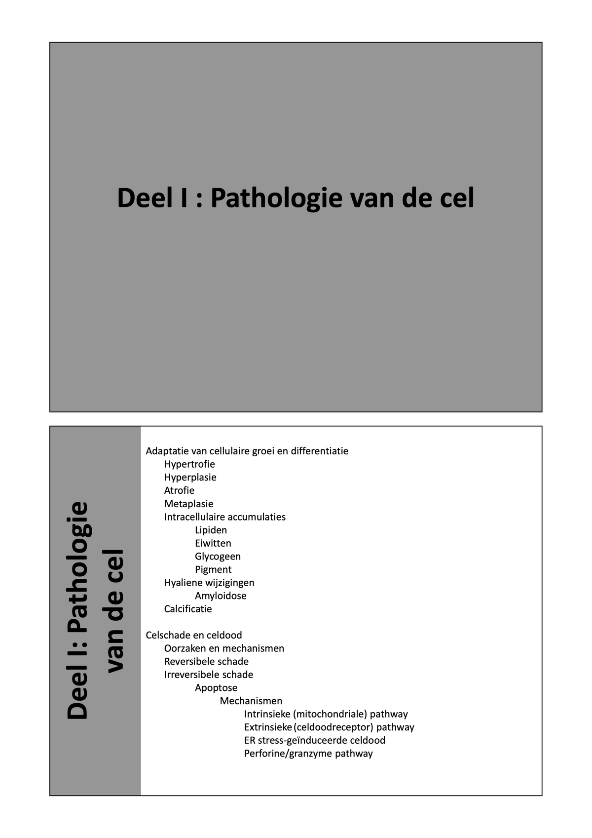 3e Bachelor: Mechanismen van ziekte