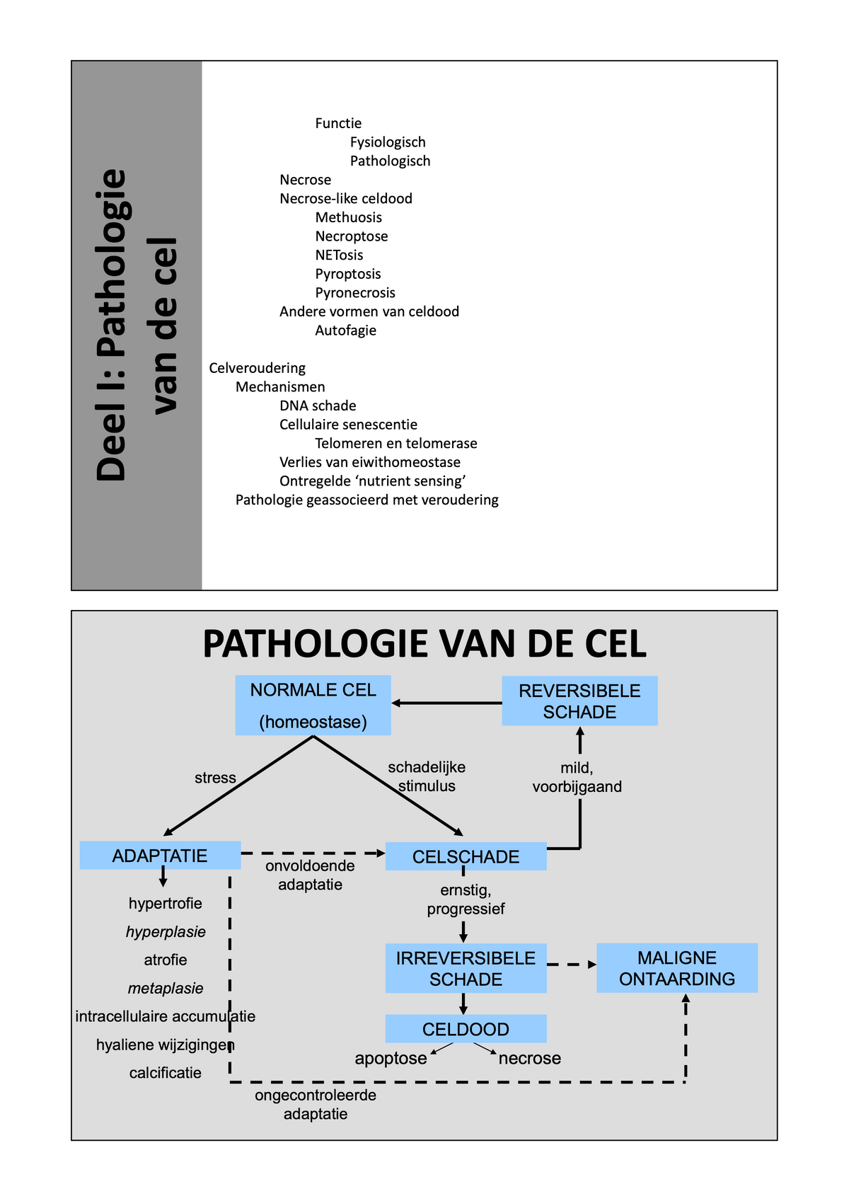 3e Bachelor: Mechanismen van ziekte