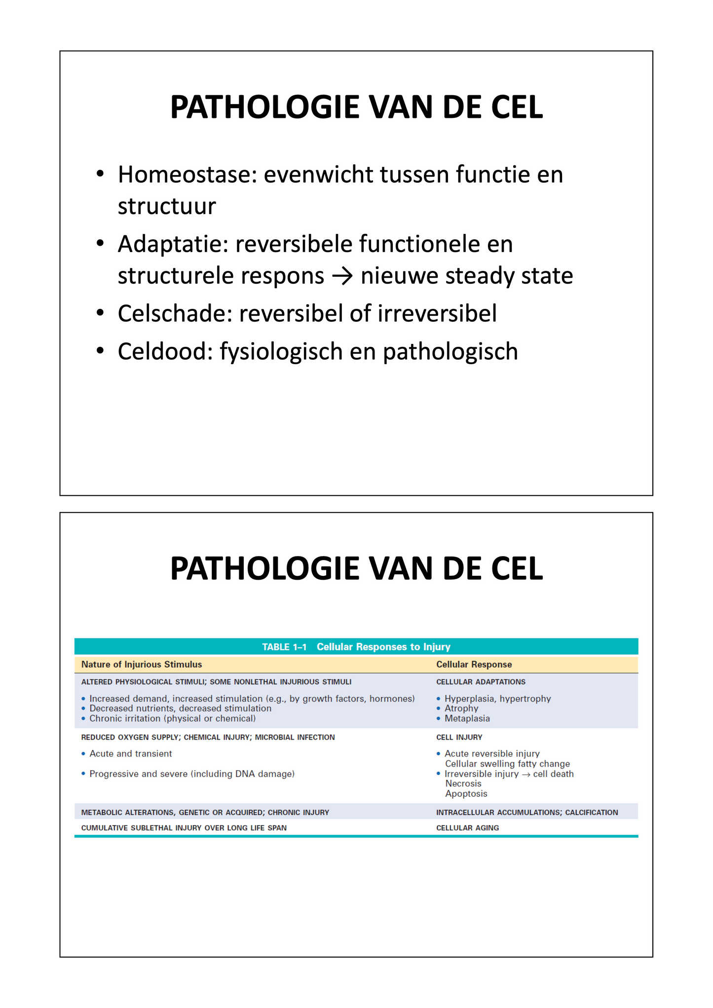 3e Bachelor: Mechanismen van ziekte
