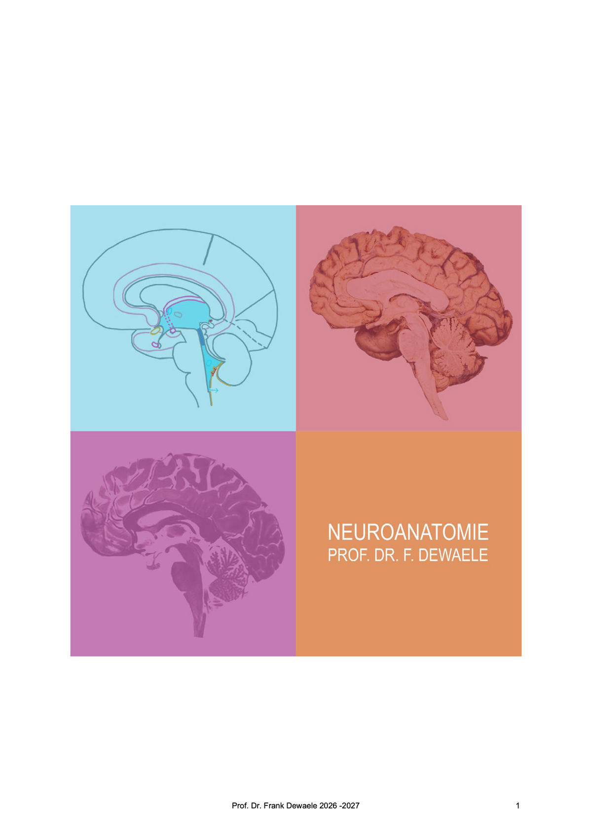 2e Bachelor: Zenuwstelsel en zintuigen (neuroanatomie)