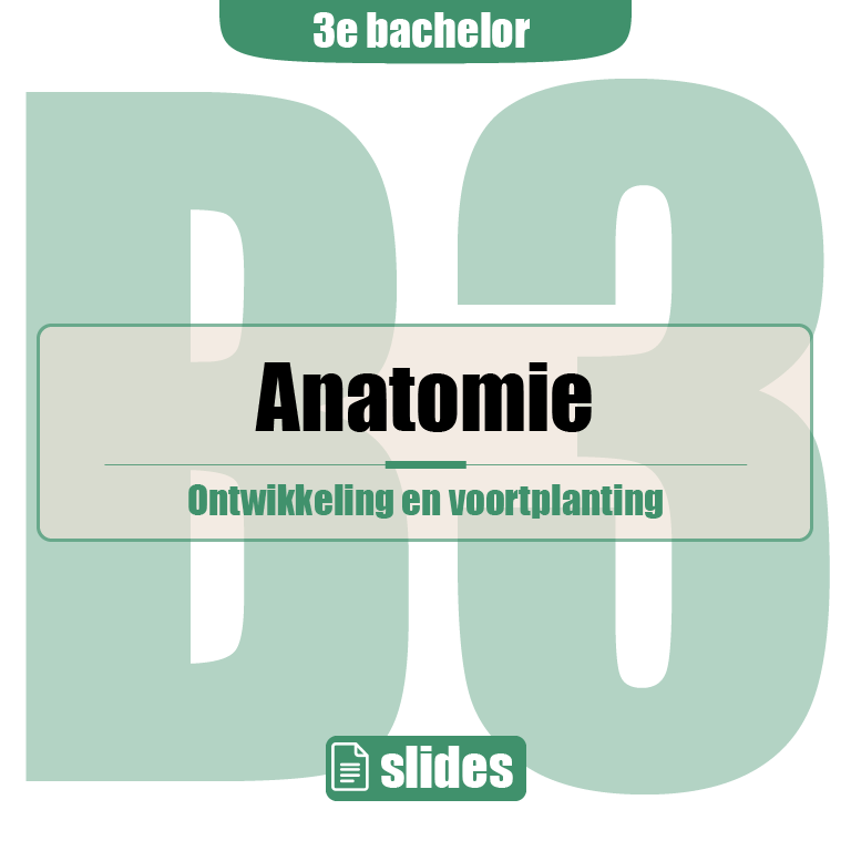 3e Bachelor: Ontwikkeling, voortplanting en verloskunde (anatomie)