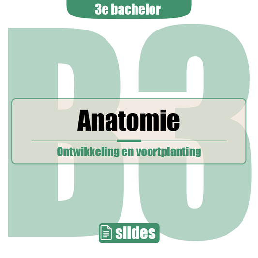 3e Bachelor: Ontwikkeling, voortplanting en verloskunde (anatomie)