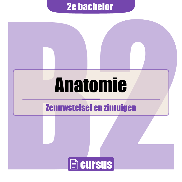 2e Bachelor: Zenuwstelsel en zintuigen (neuroanatomie)