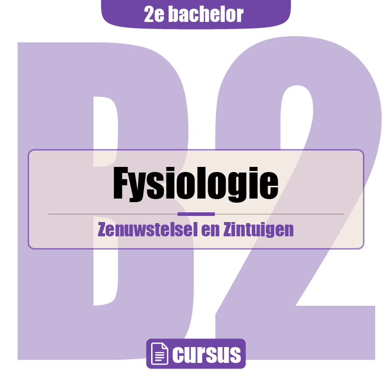 2e Bachelor: Zenuwstelsel en zintuigen (fysiologie)