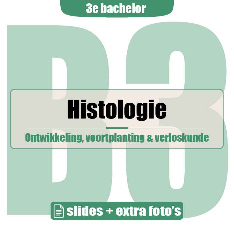 3e Bachelor: Ontwikkeling, voortplanting en verloskunde (histologie - lesnota's + extra foto's)