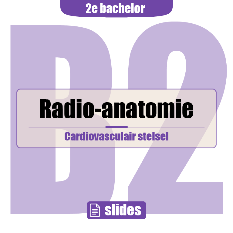 2e Bachelor: Cardiovasculair stelsel, ademhaling, nier en urinewegen (radio-anatomie)