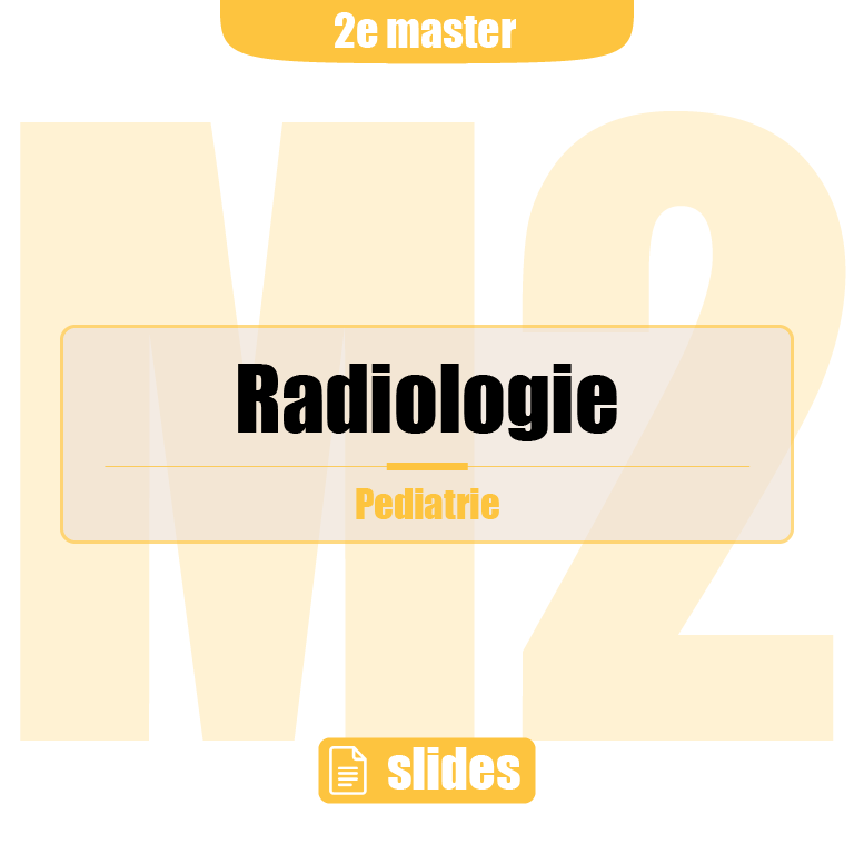 2e Master: P-lijn (radio)